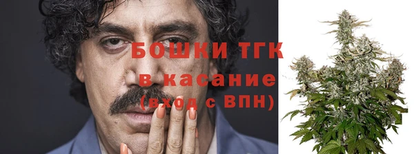 гидра Алзамай