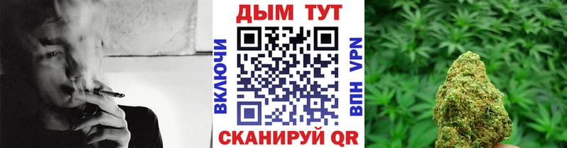 Канабис Bruce Banner  Чухлома 